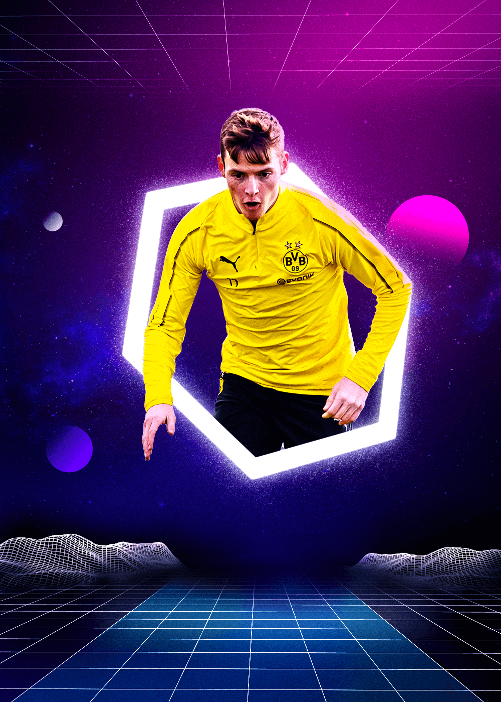 不仅总结了 不仅总结了